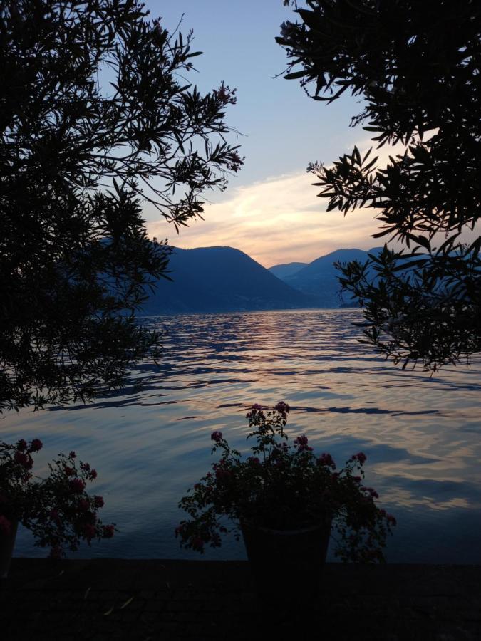 L'Oleandro Sul Lago D'Iseo B&B Sulzano Exterior foto