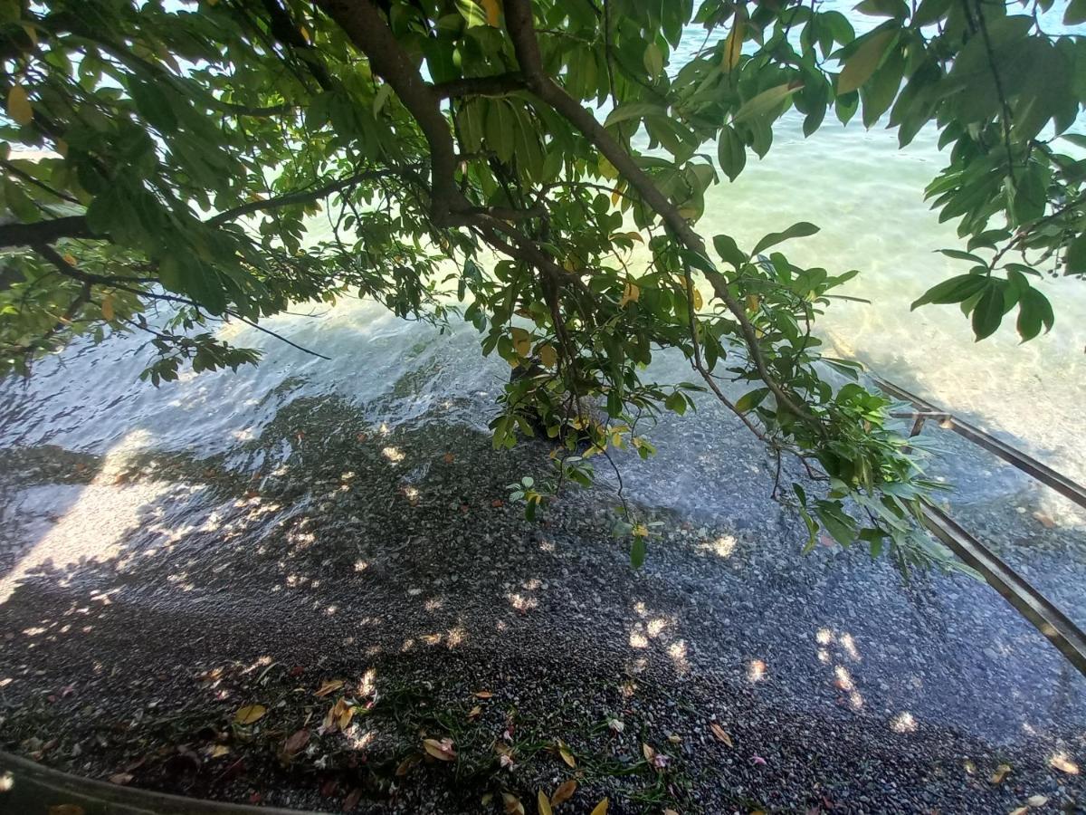L'Oleandro Sul Lago D'Iseo B&B Sulzano Exterior foto