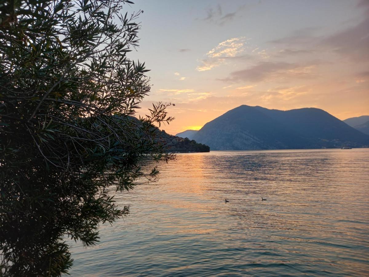 L'Oleandro Sul Lago D'Iseo B&B Sulzano Exterior foto