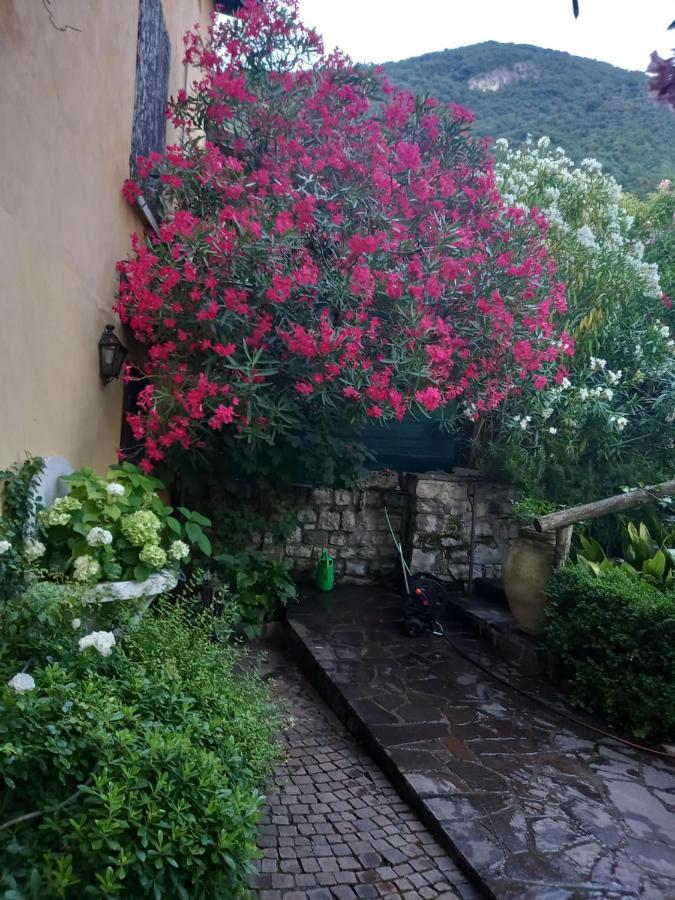 L'Oleandro Sul Lago D'Iseo B&B Sulzano Exterior foto